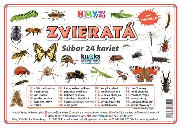 Súbor 24 kariet  - zvieratá - Hmyz