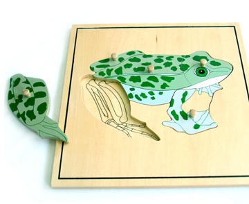 Montessori Puzzle s kostrou - žaba