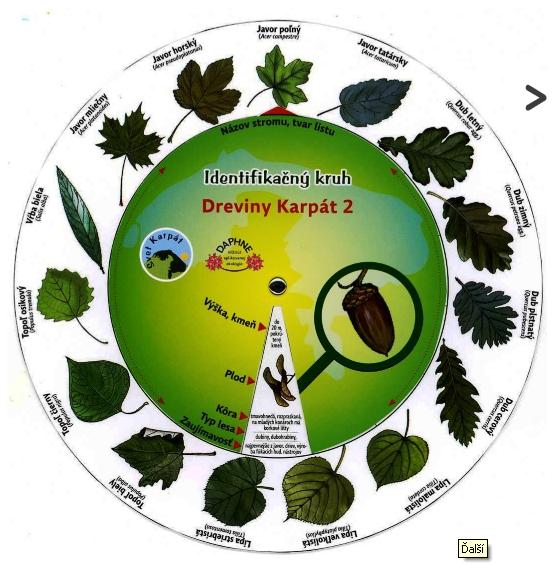 Identifikačný kruh Dreviny  2