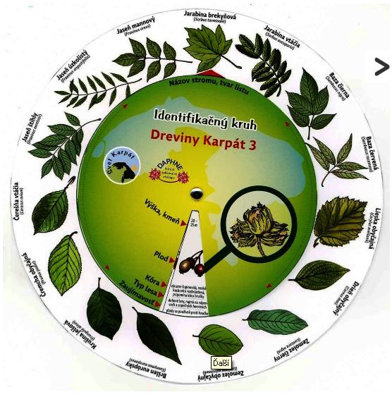 Identifikačný kruh Dreviny  3