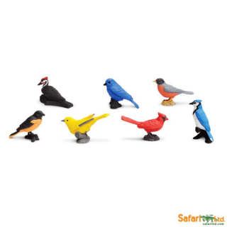 Safari Ltd Vtáky v tube