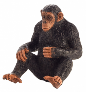 Animal planet Mojo Šimpanz
