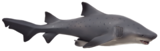 Animal planet Mojo Žralok belavý veľký
