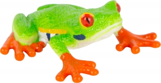 Animal planet Mojo Červenooká žaba